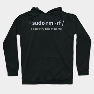 Developer Sudo rm -rf Hoodie